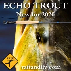 Echo Trout 4wt 8'4"