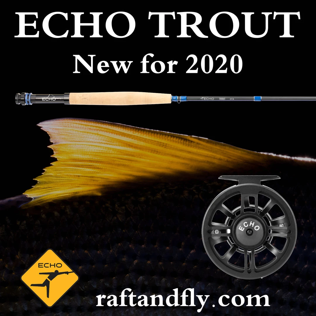 Echo Trout 4wt 8'4" 4 Echo Trout 4wt 8'4"