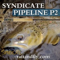 Syndicate P2 Pipeline Pro 3wt 11'0"