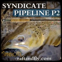 Syndicate P2 Pipeline Pro 3wt 10'0"