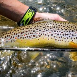 Temple Fork Outfitters TFO Blue Ribbon 4wt 9'0"