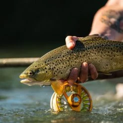 Redington Rise III Reel 7-8wt Olive